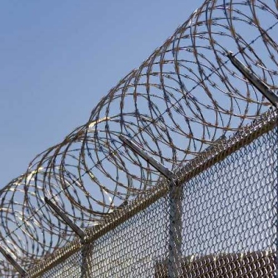 How Do Barbed Wire Fence Manufacturers Build the Future of Secure Boundaries?