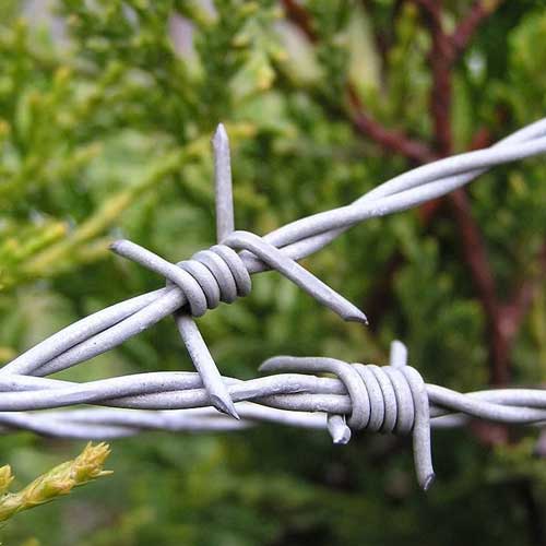 Barbed Wire Fence Manufacturers in West Bengal