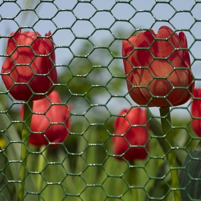 Hexanet Fencing in New Zealand